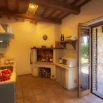 Fattoria Di Vibio