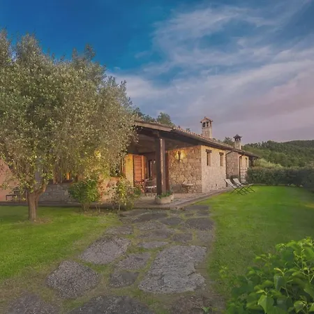 Fattoria Di Vibio *